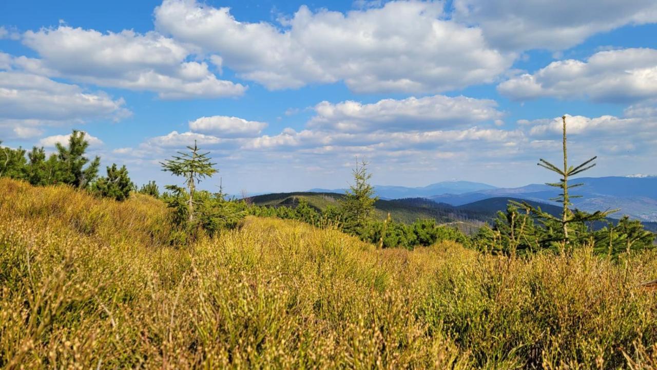 Superior Laguna Beskidow 3 Rooms! Sauna&Gym! Air Condition! Zarzecze  Εξωτερικό φωτογραφία